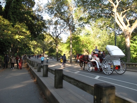 Bustling Central Park